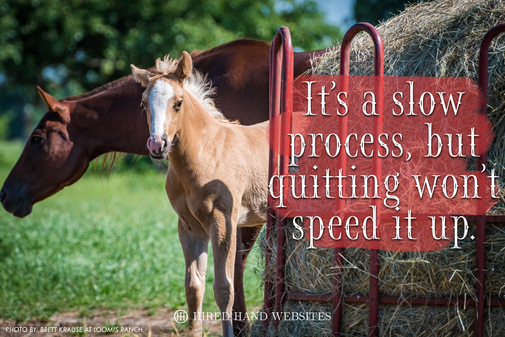 Slow Process - Facebook