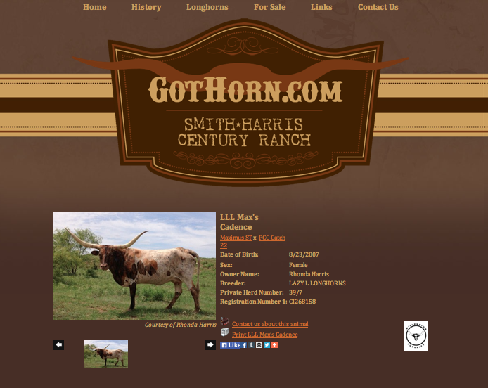 Smith-Harris Century Ranch-animal
