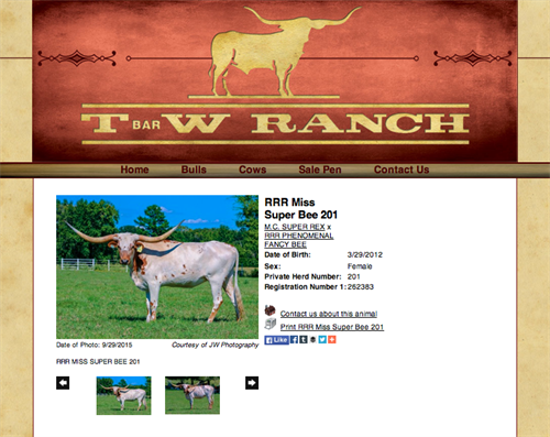 T Bar W Ranch - animal
