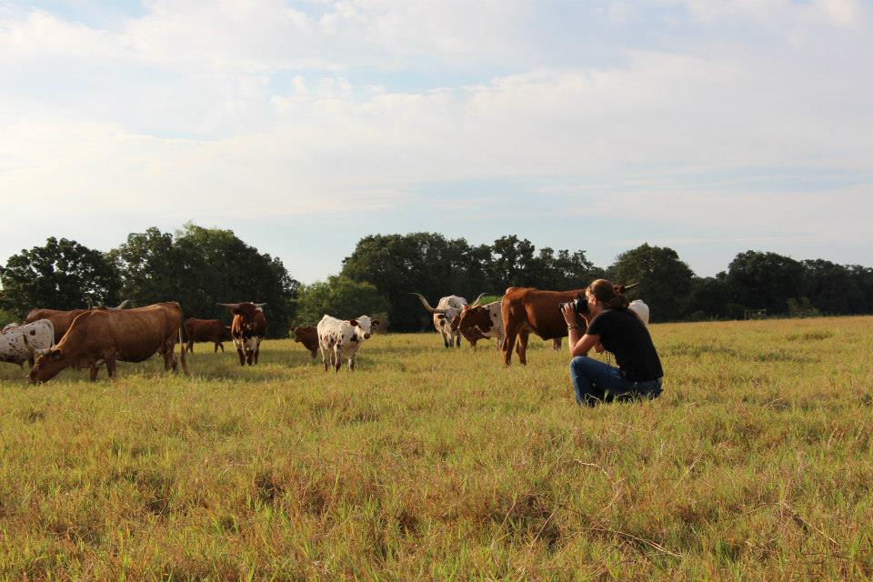 Taylor Ranch
