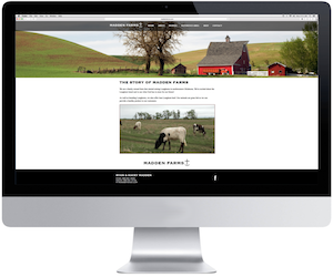 Hired Hand Template 2