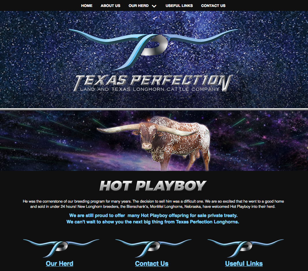 Texas Perfection Texas Perfection