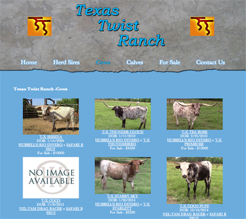 Texas Twist Ranch - herd