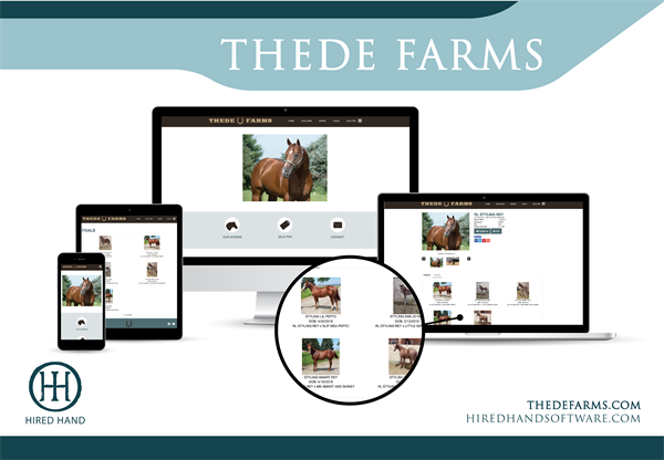 ThedeFarms_WebsiteLaunch-02 ThedeFarms_WebsiteLaunch-02