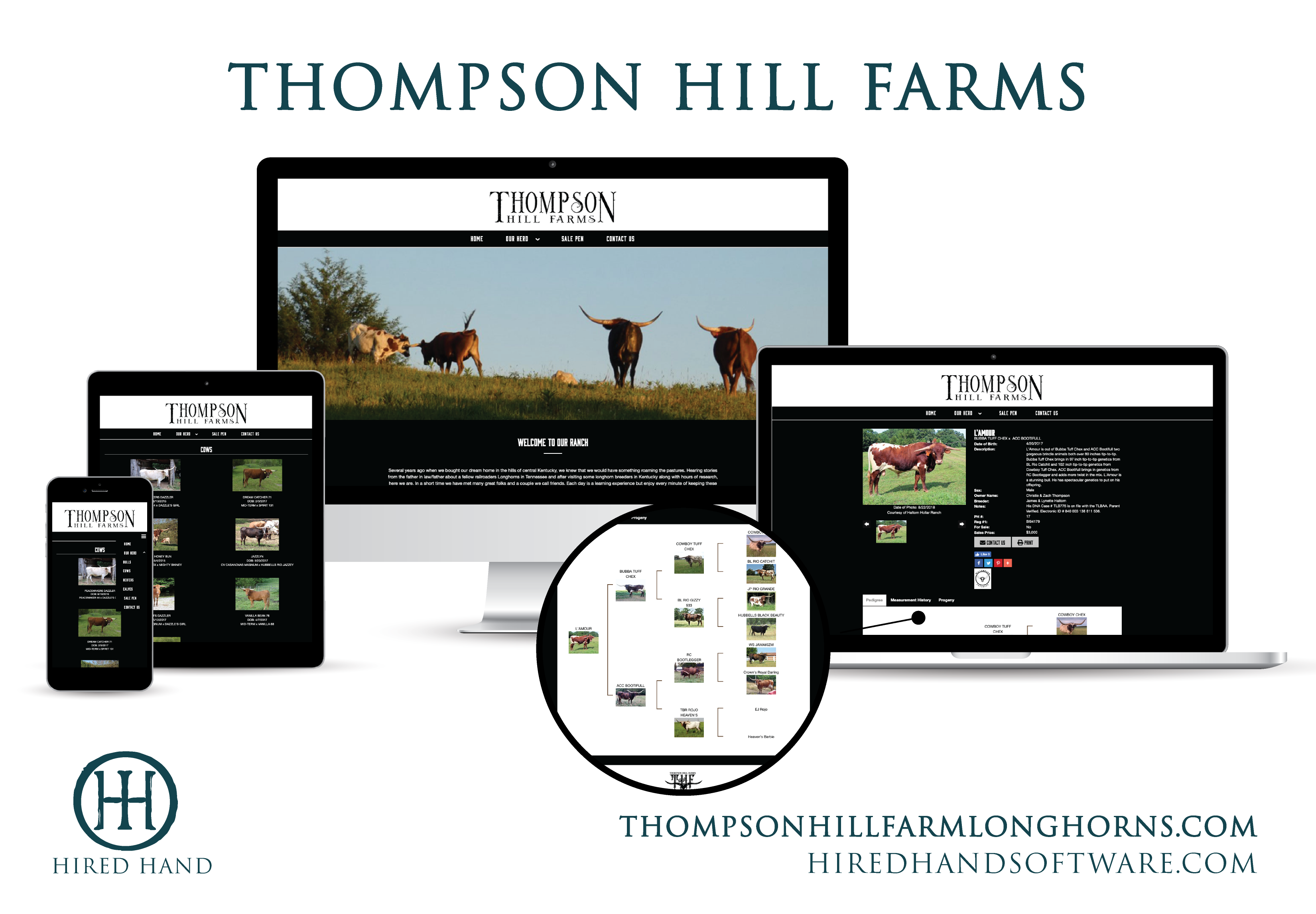 ThompsonHill_WebsiteLaunch-01