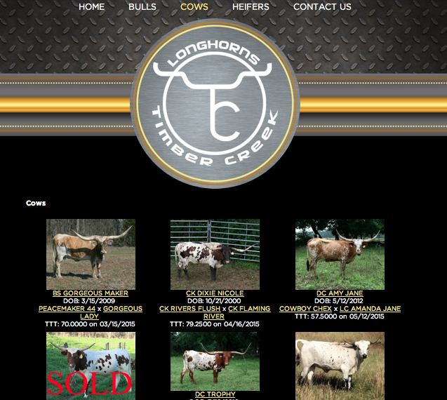 Timber Creek Longhorns Herd