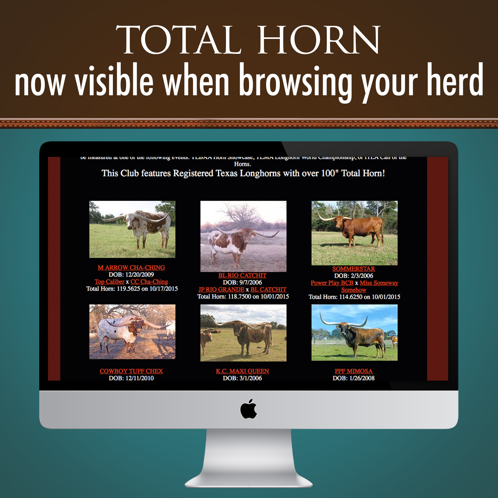 Total horn in summary