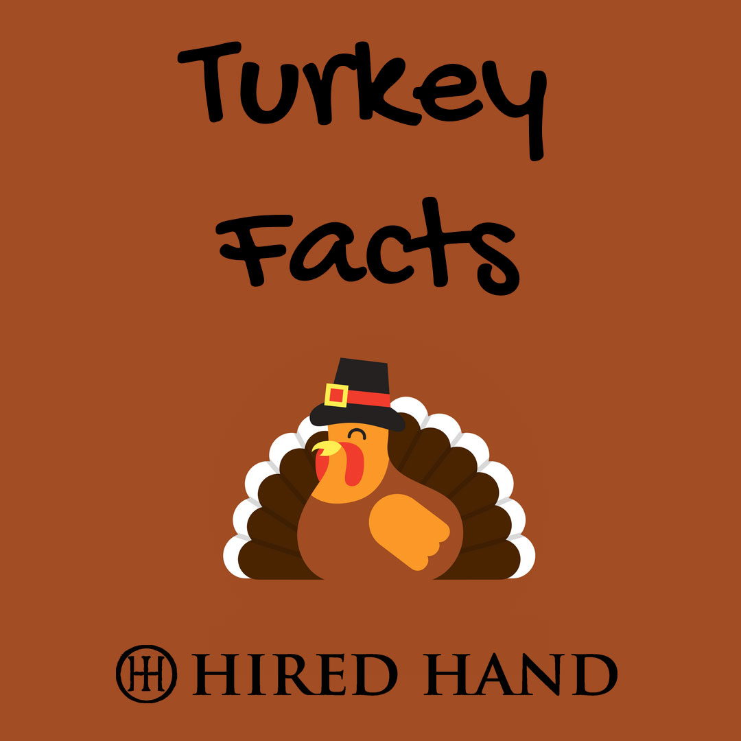 Turkey-facts