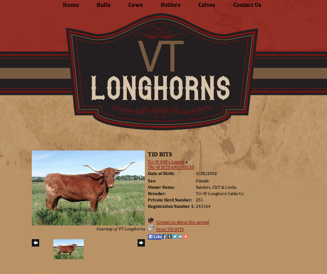 VT Longhorns Animal
