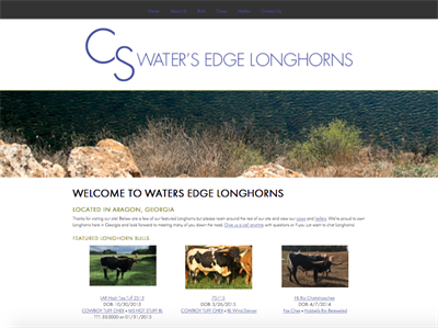 Water's Edge Longhorns