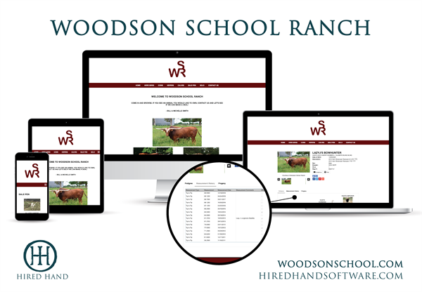 WoodsonSchool_WebsiteLaunch-01