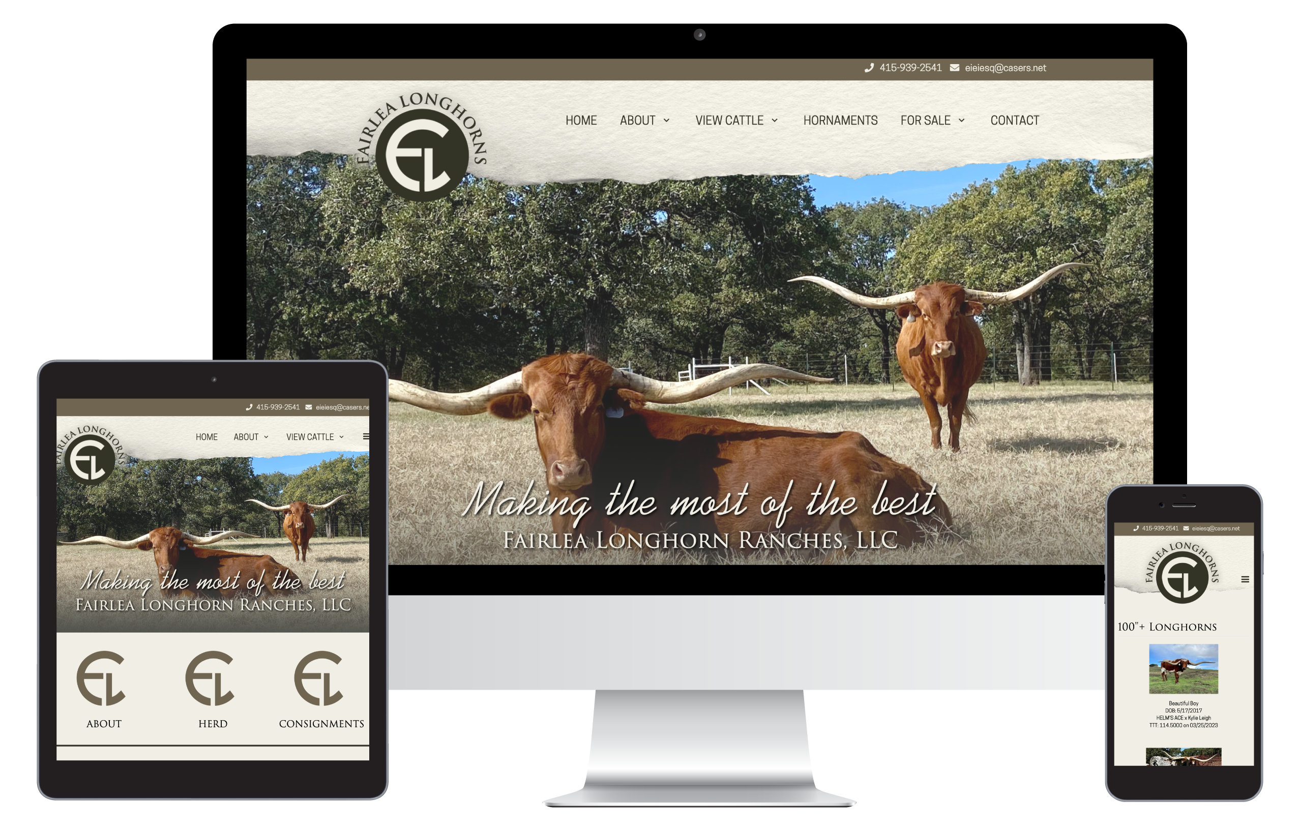 Fairlea Longhorns