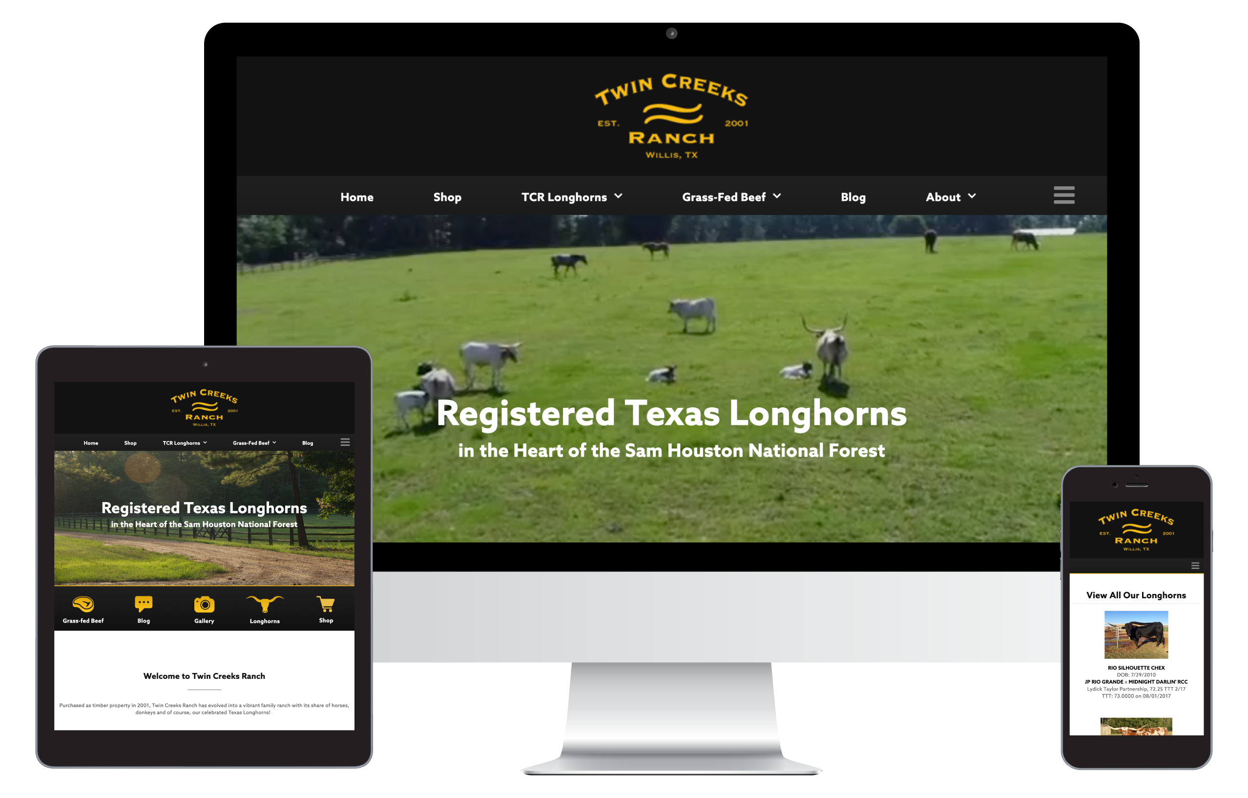 Twin Creeks Ranch