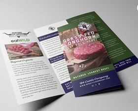 B4 Cattle Co. Beef, Brochure