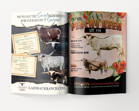 Laid Back Ranch & Hudson Longhorns (2023 Legacy)